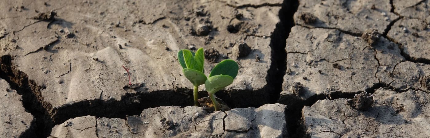 Chaire de recherche emlyon – Groupama Rhône-Alpes Auvergne