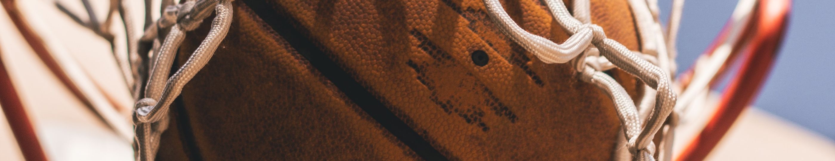 The Pack: a Sport Business acceleration platform at the heart of the societal issues The Pack: a Sport Business acceleration platform at the heart of the societal issues