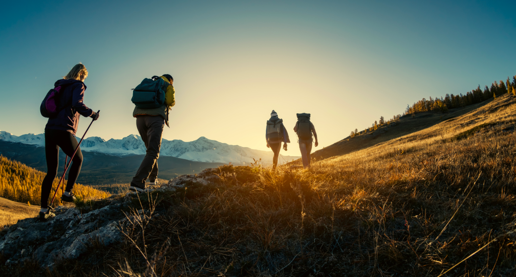 Dispositifs d’accompagnement