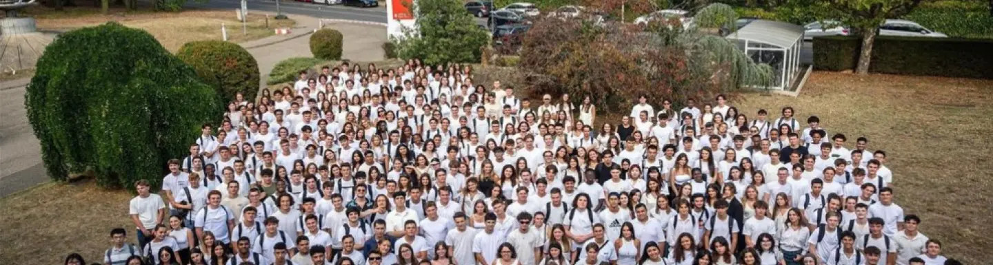 The Global BBA – a welcoming hive of international talent The Global BBA – a welcoming hive of international talent