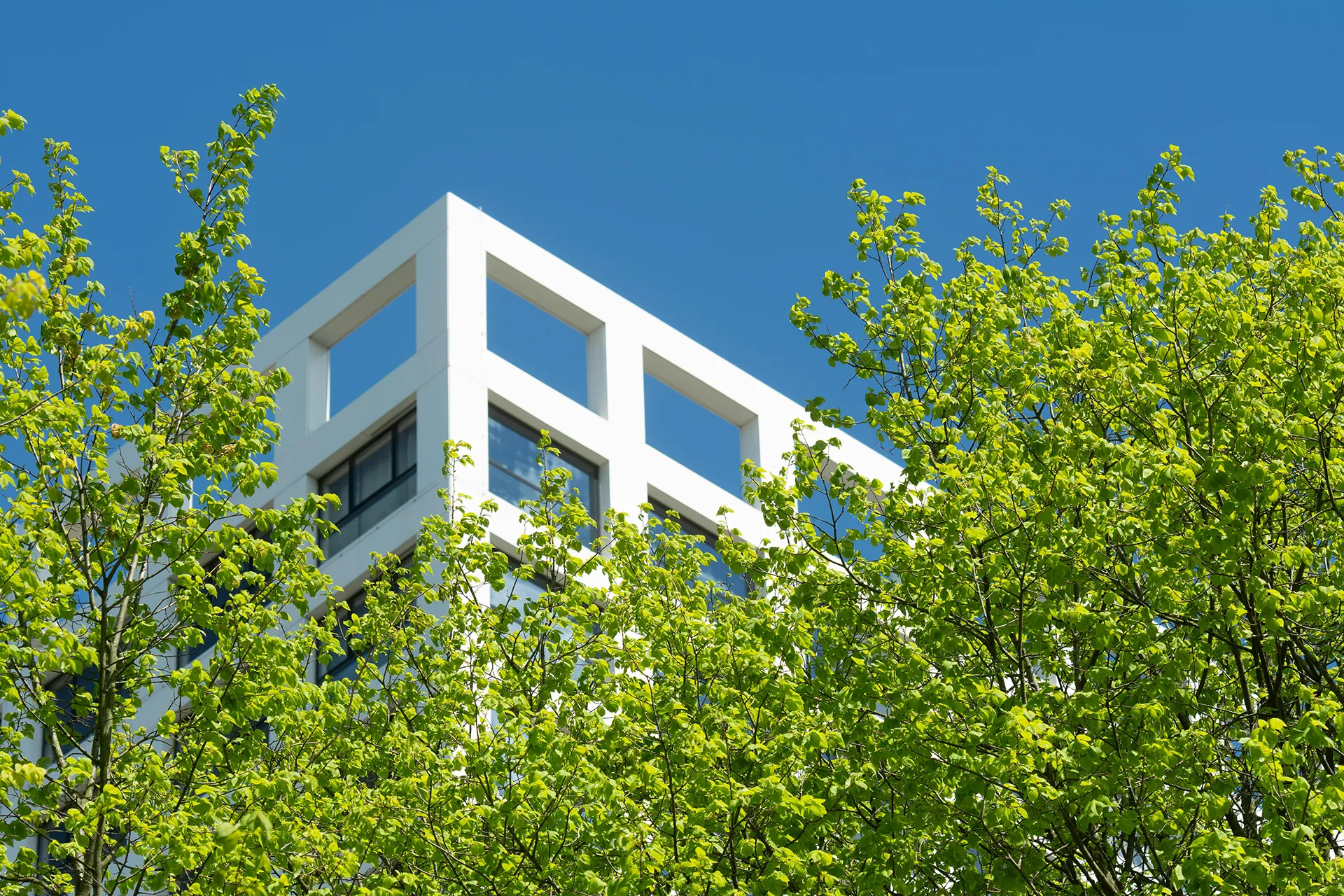 La façade d'un bâtiment