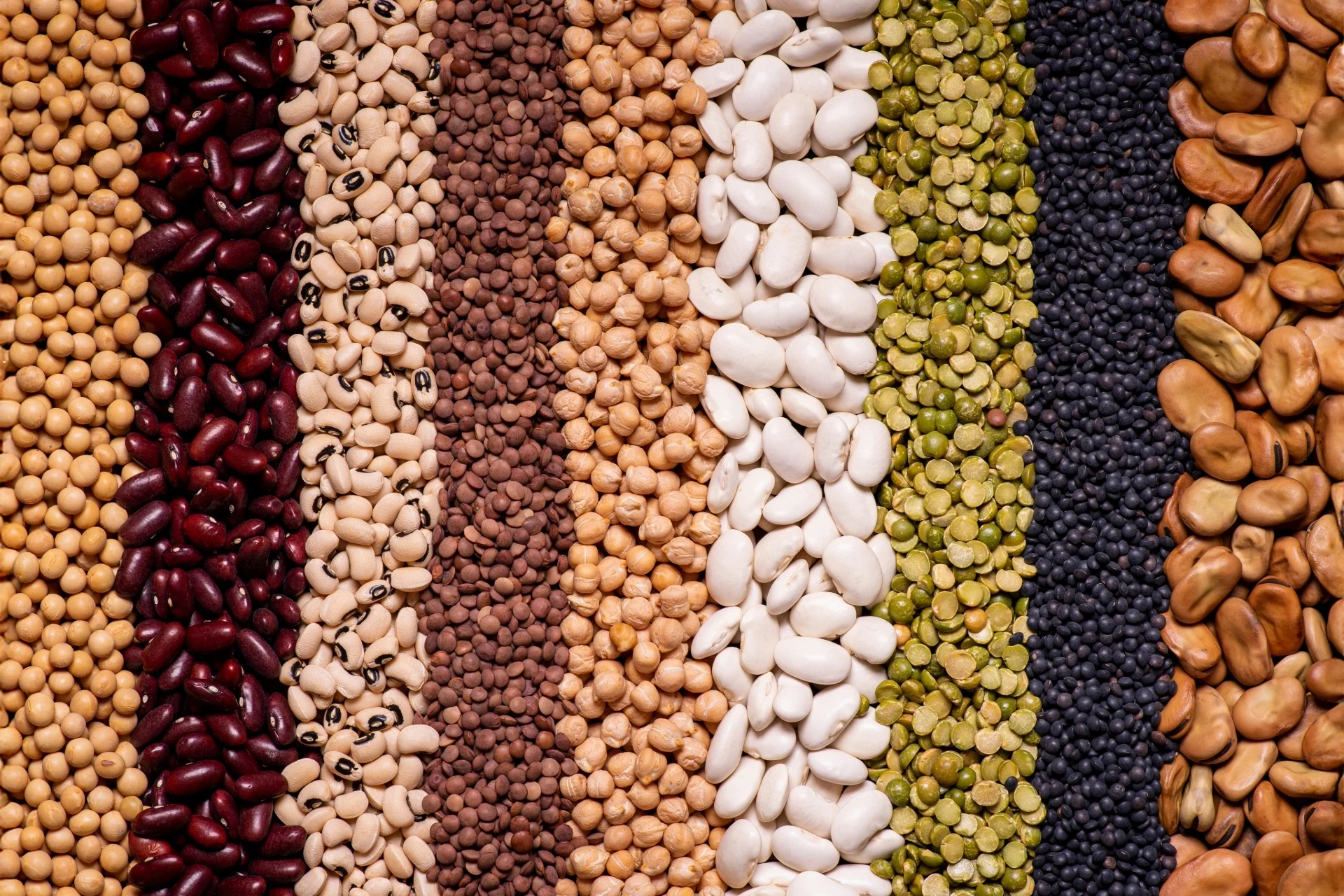 Variety of dried legumes arranged in vertical rows, including beans, chickpeas, lentils and split peas.