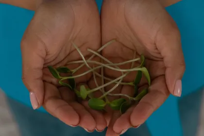 emlyon, société à mission : rentrée responsable