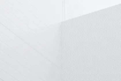 Caroline Dallinges a suivi le Careers track Graduate Programme d’emlyon, découvrez son parcours !