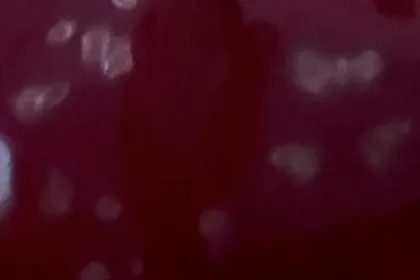 Témoignage de Laure sur les International Seminars à Dubaï