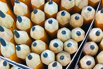 Allier droit et business grâce au Mastère spécialisé Juriste Manager International