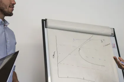 International business development manager