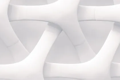 Lise Rahandi-Chambrier, Global BBA student