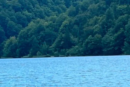 Meet Michelle Zhu, graduate of the MiM program and Senior Consultant from well-known consulting firms