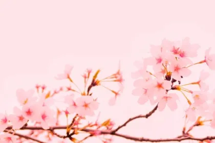 The Luxury of Finding the Perfect Match – from emlyon to SWAROVSKI