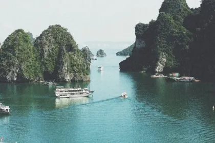 Anamitra Chatterjee, from scientist to marketing and business expert