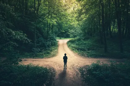 Une personne immobile dans une forêt se trouve au milieu d'un carrefour.