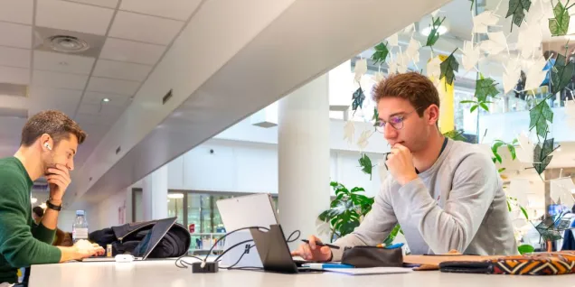 Classement Le Figaro Etudiant 2024 : le Global BBA, 4ème BBA en France étudiants travaillant