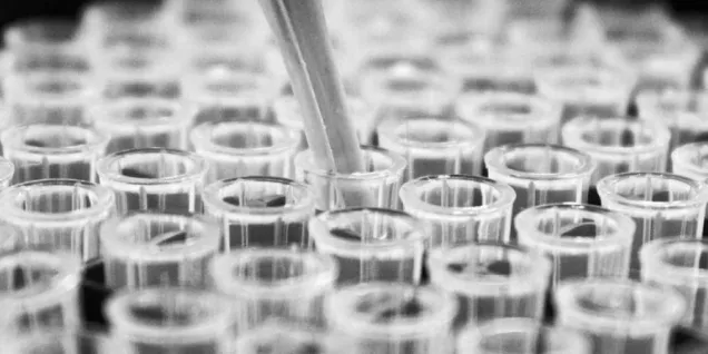 Lancement de l’Institut HITS et du cursus BioPharma