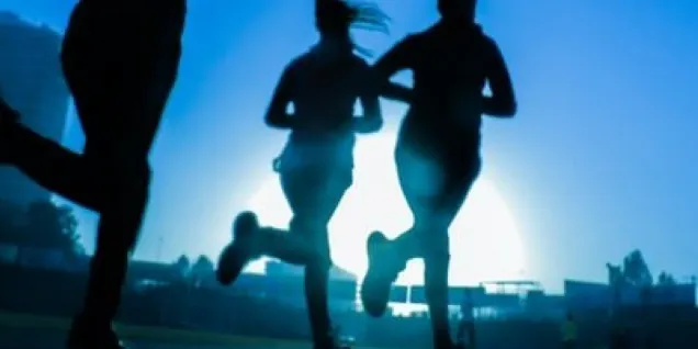 5 Reasons to Study Sports Industry Management 5 Reasons to Study Sports Industry Management