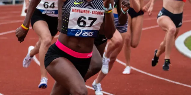Organisateur d’événements sportifs Organisateur d’événements sportifs