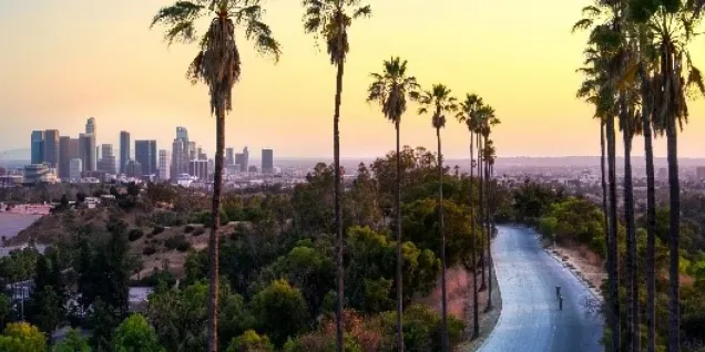 Hello_-Los-Angeles_-MSc-in-International-Hospitality-Management