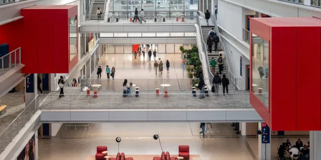 MSc in International Marketing &amp; Business Development emlyon