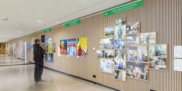 L’exposition photos « Bonne santé et bien-être » d’emlyon business school