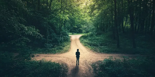 Une personne immobile dans une forêt se trouve au milieu d'un carrefour.