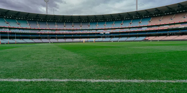 Panoramic view of a large empty stadium with green grass field, circular stands and match lighting under a cloudy sky.