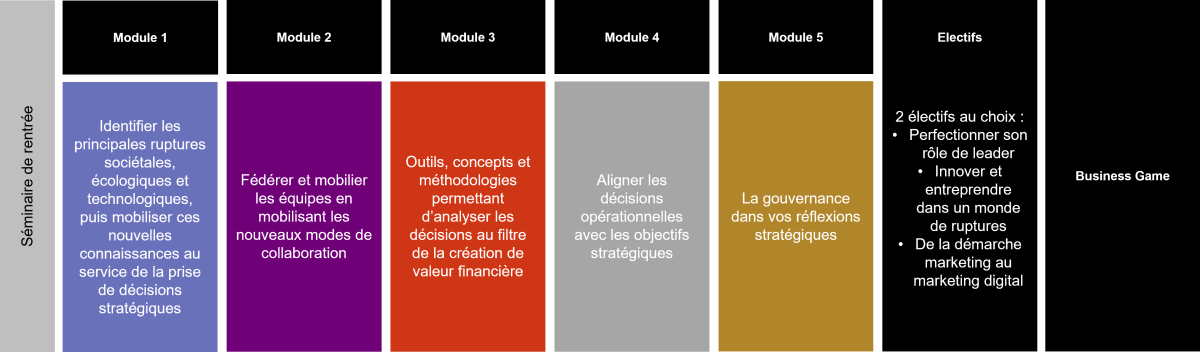 Programme certificat diriger une activité - emlyon