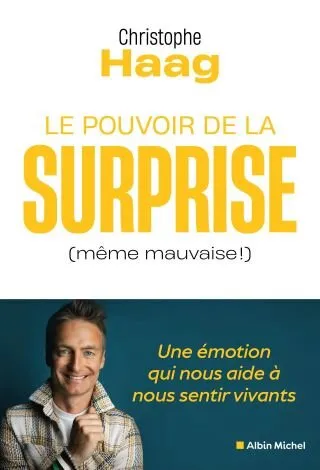 Livre de Christophe Haag, enseignant chercheur emlyon business school Christophe Haag livre