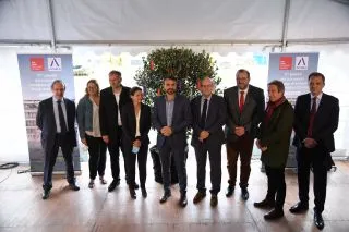 Arbre_à_souhaits_campus_emlyon Arbre_à_souhaits_campus_emlyon