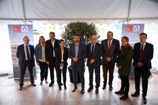 Arbre_à_souhaits_campus_emlyon