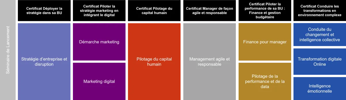 Programme diplôme Executive Master Management Général Programme diplôme executive master management général