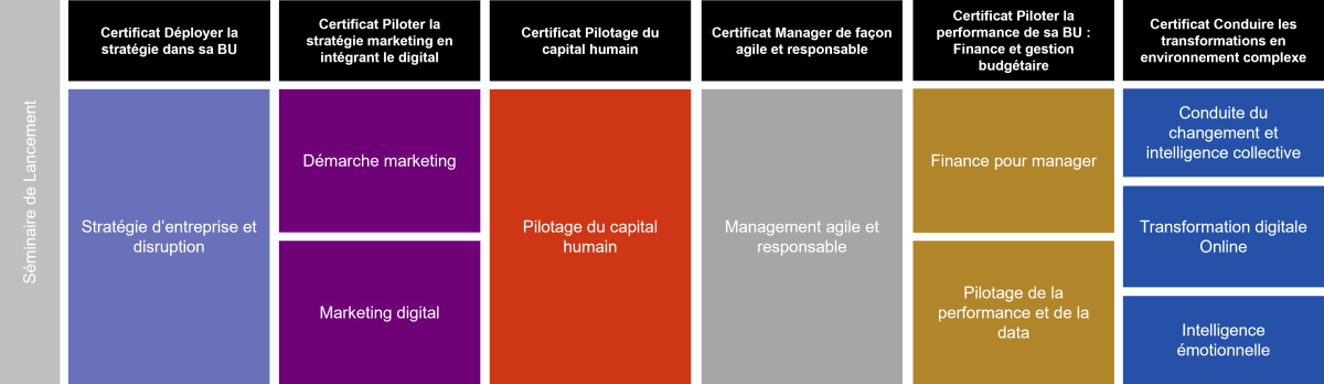 Programme diplôme executive master management général