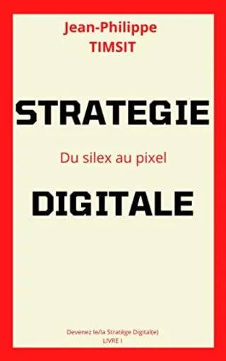 Parution « Stratégie Digitale, du silex au pixel » livre TIMSIT