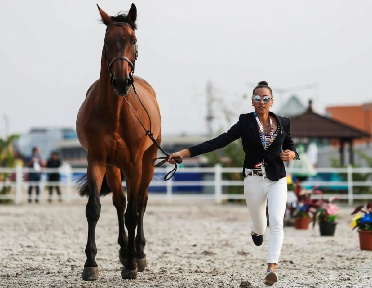 Equestrian picture Equestrian picture