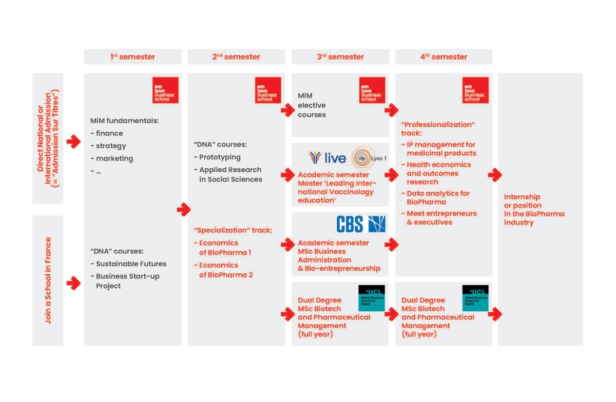 Recherche_Graphique_MIM_Healthcare_2025