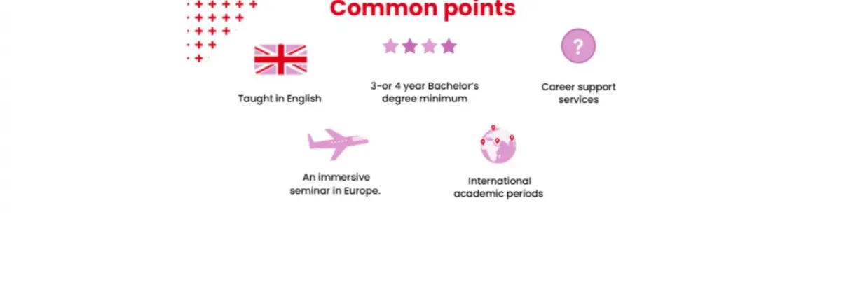 A strong professional and international dimension A strong professional and international dimension