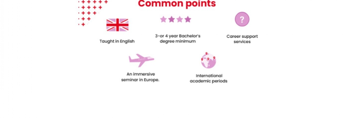 A strong professional and international dimension