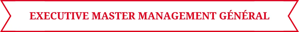 Pictogramme Executive Master Management Général Pictogramme Executive Master Management Général