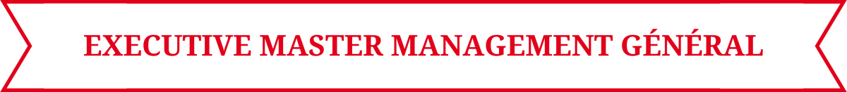 Pictogramme Executive Master Management Général