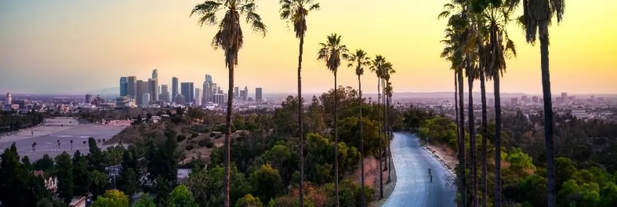 Hello_-Los-Angeles_-MSc-in-International-Hospitality-Management