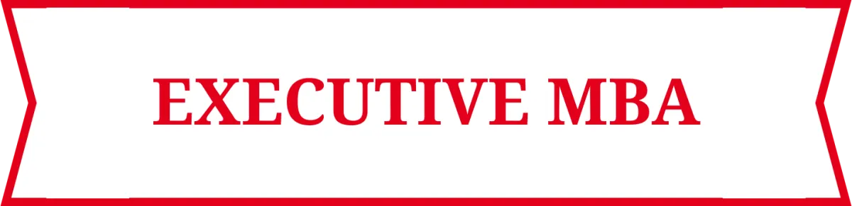 Pictogramme Executive MBA Pictogramme Executive MBA