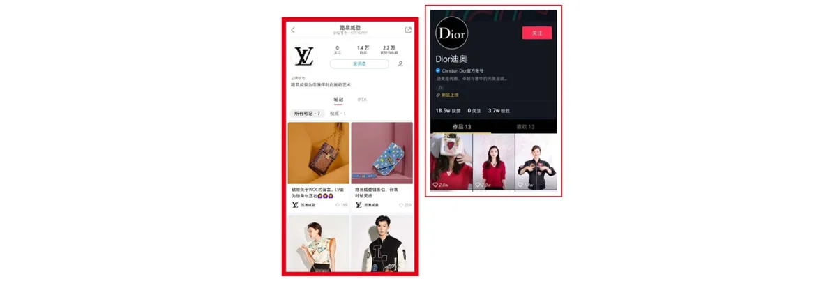 YSL & DIOR YSL & DIOR