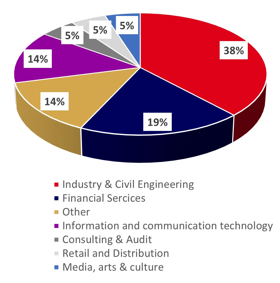 Job sector graph - IMBA 2025