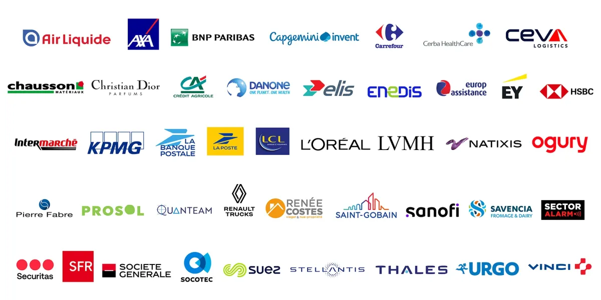 Les logos des entreprises qui ont choisi de soutenir la Toile d'emlyon business school