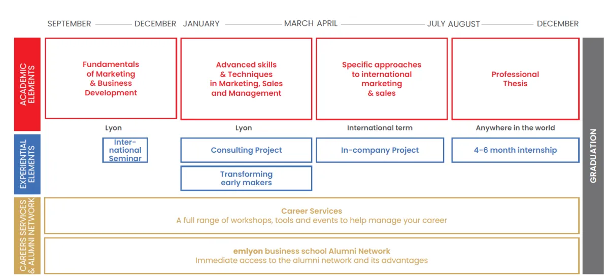 MSc in International Marketing & Business Development program overview