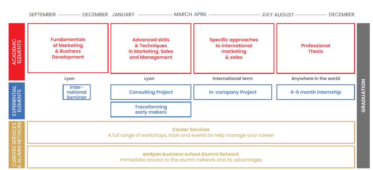MSc in International Marketing & Business Development program overview