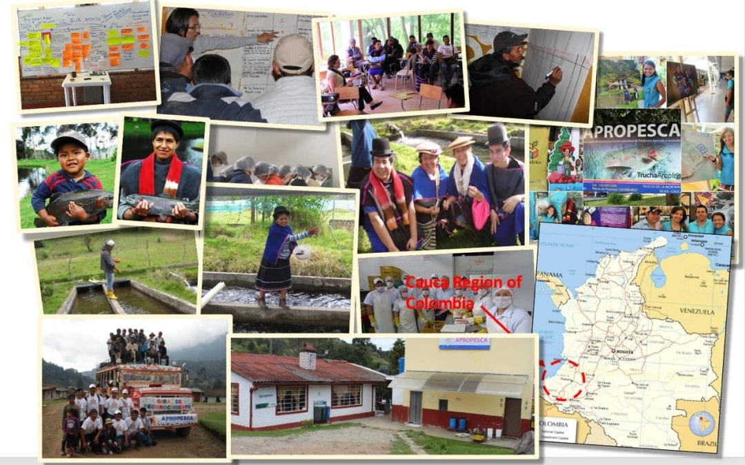 Collage de photos montrant des activités communautaires, des formations, des bâtiments et une carte de la région du Cauca en Colombie.