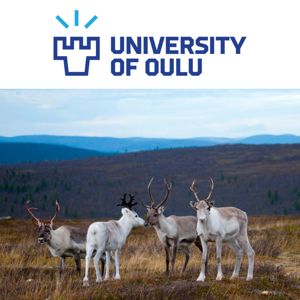 university of oulu