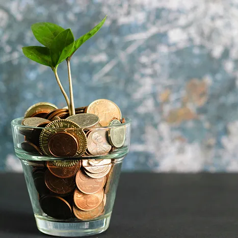 Jeune pousse verte émergeant d’un verre rempli de pièces de monnaie, illustrant la finance durable, l’investissement responsable et la décarbonation de l’économie.