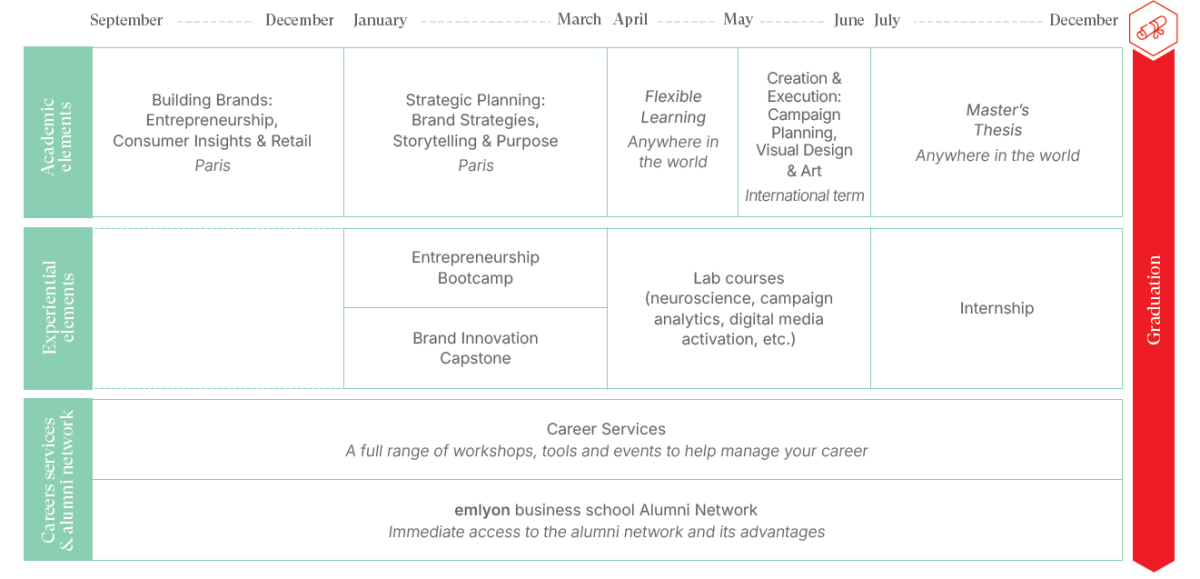MSc in Branding & Communication Program Overview