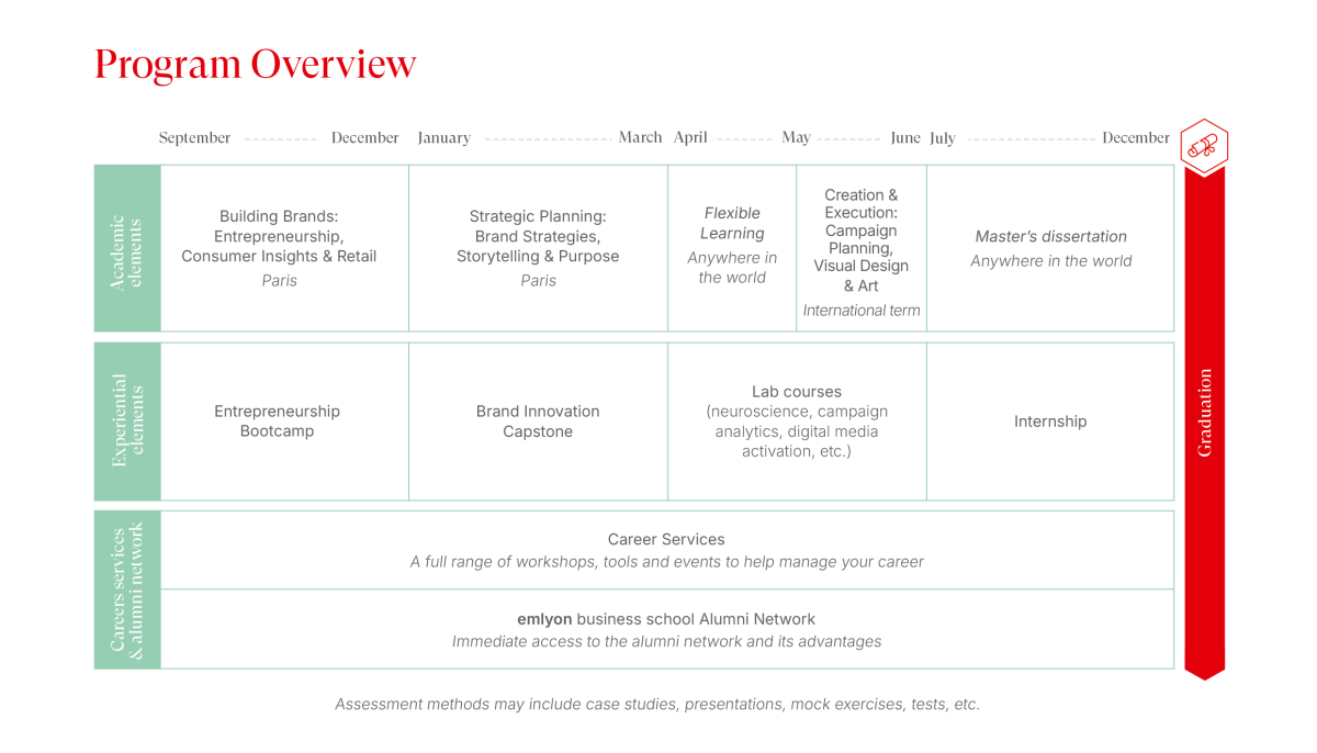 Curriculum MSc in Branding & Communication